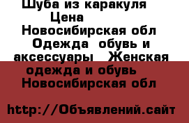 Шуба из каракуля  › Цена ­ 5 009 - Новосибирская обл. Одежда, обувь и аксессуары » Женская одежда и обувь   . Новосибирская обл.